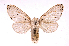  ( - INBIOCRI001773547)  @14 [ ] Copyright (2012) J. Montero Instituto Nacional de Biodiversidad