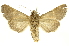  ( - INBIOCRI001797731)  @14 [ ] Copyright (2012) J. Montero INBio
