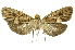  ( - INBIOCRI001827132)  @11 [ ] Copyright (2012) Juan Mata Lorenzen Unspecified