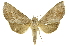  ( - INBIOCRI001827378)  @14 [ ] Copyright (2012) J. Montero INBio