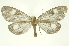  ( - INBIOCRI001828254)  @14 [ ] Copyright (2012) Juan Mata Lorenzen Unspecified