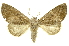  ( - INBIOCRI001839887)  @14 [ ] Copyright (2012) Juan Mata Lorenzen INBio
