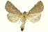  ( - INBIOCRI001845308)  @15 [ ] Copyright (2012) Juan Mata Lorenzen INBio
