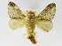  ( - INBIOCRI001848086)  @14 [ ] Copyright (2012) J. Montero Instituto Nacional de Biodiversidad