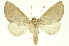  ( - INBIOCRI001848092)  @14 [ ] Copyright (2012) Juan Mata Lorenzen INBio