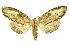  ( - INBIOCRI001848535)  @13 [ ] Copyright (2012) Juan Mata Lorenzen INBio