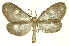  ( - INBIOCRI001862764)  @14 [ ] Copyright (2012) Juan Mata Lorenzen Unspecified