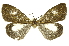  ( - INBIOCRI001867112)  @14 [ ] Copyright (2012) Juan Mata Lorenzen Unspecified