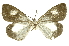  ( - INBIOCRI001867112)  @14 [ ] Copyright (2012) Juan Mata Lorenzen Unspecified