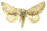  ( - INBIOCRI001875563)  @14 [ ] Copyright (2012) Juan Mata Lorenzen Unspecified