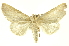  ( - INBIOCRI001875563)  @13 [ ] Copyright (2012) Juan Mata Lorenzen Unspecified