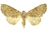  ( - INBIOCRI001875652)  @14 [ ] Copyright (2012) Juan Mata Lorenzen INBio