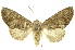  ( - INBIOCRI001881416)  @14 [ ] Copyright (2012) Juan Mata Lorenzen INBio