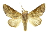  ( - INBIOCRI001888799)  @15 [ ] Copyright (2012) Juan Mata Lorenzen Unspecified