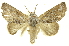  ( - INBIOCRI001902510)  @14 [ ] Copyright (2012) Juan Mata Lorenzen INBio