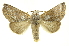  ( - INBIOCRI001902511)  @14 [ ] Copyright (2012) Juan Mata Lorenzen INBio
