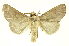  ( - INBIOCRI001902511)  @14 [ ] Copyright (2012) Juan Mata Lorenzen INBio
