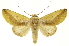  ( - INBIOCRI001913334)  @15 [ ] Copyright (2012) Juan Mata Lorenzen Unspecified