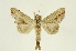  ( - INBIOCRI001918153)  @13 [ ] Copyright (2012) Juan Mata Lorenzen INBio