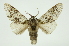  ( - INBIOCRI001919179)  @11 [ ] Copyright (2012) Juan Mata Lorenzen Unspecified