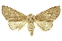  ( - INBIOCRI001937780)  @14 [ ] Copyright (2012) Juan Mata Lorenzen INBio
