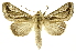  ( - INBIOCRI001939931)  @14 [ ] Copyright (2012) J. Montero INBio