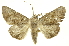  ( - INBIOCRI001939940)  @14 [ ] Copyright (2012) Juan Mata Lorenzen INBio