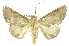  ( - INBIOCRI001939940)  @13 [ ] Copyright (2012) Juan Mata Lorenzen INBio