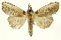  ( - INBIOCRI001939968)  @14 [ ] Copyright (2012) J. Montero INBio