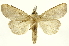  ( - INBIOCRI001939968)  @14 [ ] Copyright (2012) J. Montero INBio