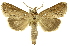  ( - INBIOCRI001939976)  @14 [ ] Copyright (2012) J. Montero INBio