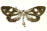  ( - INBIOCRI001942959)  @11 [ ] Copyright (2012) Juan Mata Lorenzen INBio