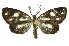 ( - INBIOCRI001942961)  @11 [ ] Copyright (2012) Juan Mata Lorenzen Unspecified