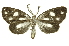  ( - INBIOCRI001942961)  @11 [ ] Copyright (2012) Juan Mata Lorenzen Unspecified