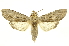  ( - INBIOCRI001947861)  @14 [ ] Copyright (2012) Juan Mata Lorenzen INBio