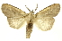  ( - INBIOCRI001958428)  @14 [ ] Copyright (2012) J. Montero INBio