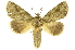  ( - INBIOCRI001965599)  @11 [ ] Copyright (2012) J. Montero INBio