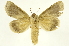  ( - INBIOCRI001965599)  @11 [ ] Copyright (2012) J. Montero INBio