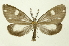  ( - INBIOCRI001973375)  @11 [ ] Copyright (2012) Juan Mata Lorenzen Unspecified
