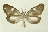  ( - INBIOCRI001973375)  @11 [ ] Copyright (2012) Juan Mata Lorenzen Unspecified