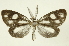  ( - INBIOCRI001973378)  @13 [ ] Copyright (2012) Juan Mata Lorenzen INBio