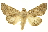  ( - INBIOCRI001985186)  @11 [ ] Copyright (2012) Juan Mata Lorenzen INBio