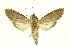  ( - INBIOCRI001985280)  @14 [ ] Copyright (2012) Juan Mata Lorenzen INBio