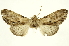  ( - INBIOCRI001985307)  @12 [ ] Copyright (2012) J. Montero INBio