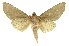 ( - INBIOCRI001985328)  @14 [ ] Copyright (2012) J. Montero INBio