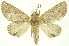  ( - INBIOCRI001996838)  @11 [ ] Copyright (2012) Juan Mata Lorenzen INBio