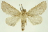  ( - INBIOCRI001996838)  @11 [ ] Copyright (2012) Juan Mata Lorenzen INBio