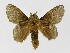  ( - INBIOCRI001999886)  @13 [ ] Copyright (2012) J. Montero Instituto Nacional de Biodiversidad