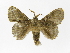  ( - INBIOCRI002015997)  @11 [ ] Copyright (2012) J. Montero Instituto Nacional de Biodiversidad