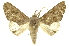  ( - INBIOCRI002024893)  @14 [ ] Copyright (2012) Juan Mata Lorenzen INBio